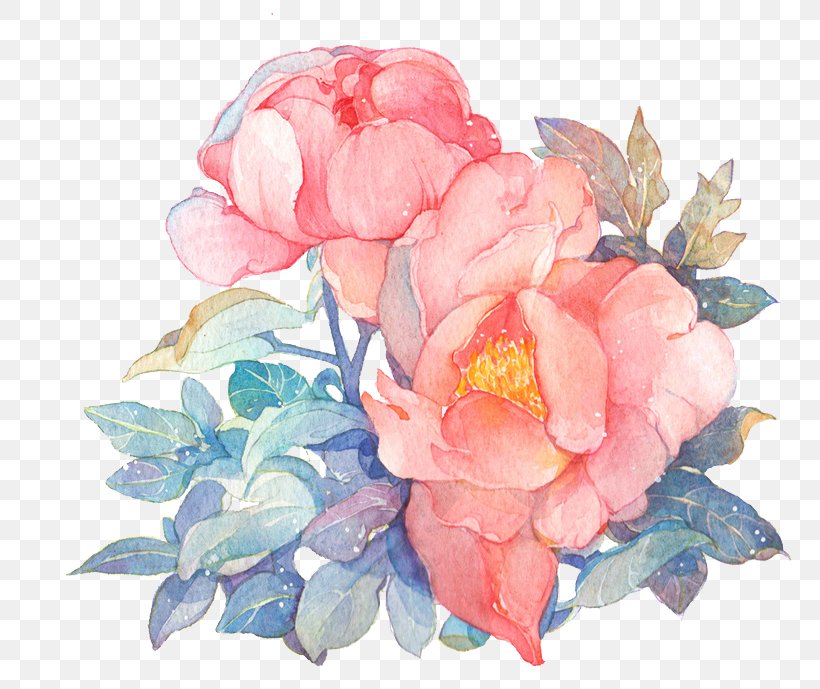 Watercolor Painting Drawing, PNG, 800x689px, Watercolor Painting, Camellia, Color, Cut Flowers, Drawing Download Free