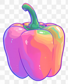 Bell Pepper - Vibrant Rainbow Bell Pepper Illustration PNG