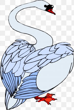 Coloring Book Wildlife - Bird Line Drawing PNG