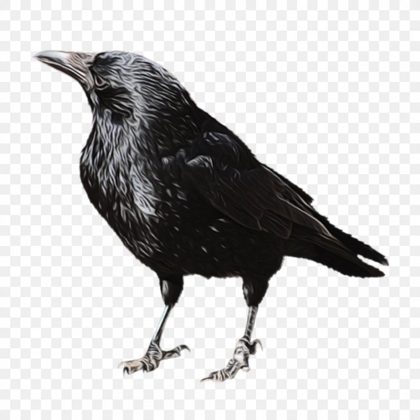 Bird, PNG, 1024x1024px, American Crow, Beak, Bird, Blackbird, Crow Download Free