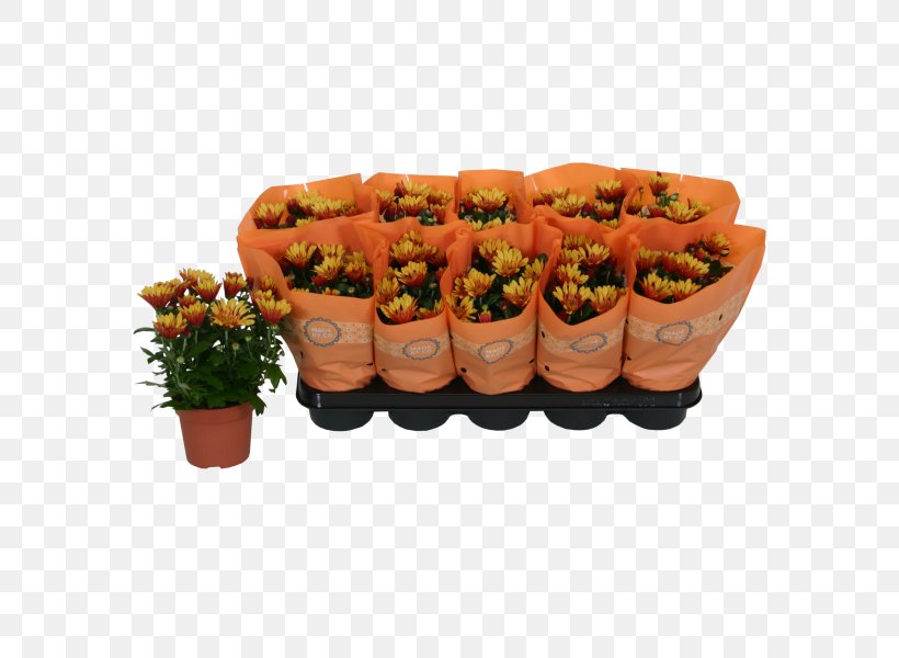 Chrysanthemum ×grandiflorum Plant Hyacinth Sweet Alyssum Orange, PNG, 600x600px, Chrysanthemum Grandiflorum, Bulb, Centimeter, Chrysanthemum, Finger Food Download Free