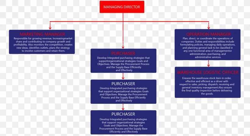 Organizational Chart Service Advertising, PNG, 1731x945px, Organization, Advertising, Brand, Brochure, Business Process Download Free