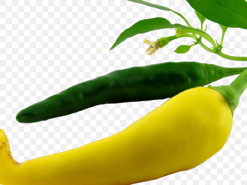 Bell Pepper Chili Pepper Vegetable Fruit Yellow Pepper, PNG, 1600x1200px, Bell Pepper, Auglis, Banana, Banana Family, Bell Peppers And Chili Peppers Download Free