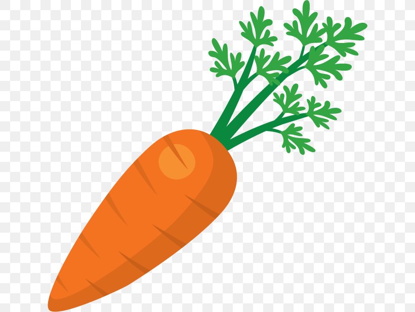 Juice Fruit Salad Carrot Clip Art, PNG, 632x617px, Juice, Carrot, Drinking, Fish, Food Download Free