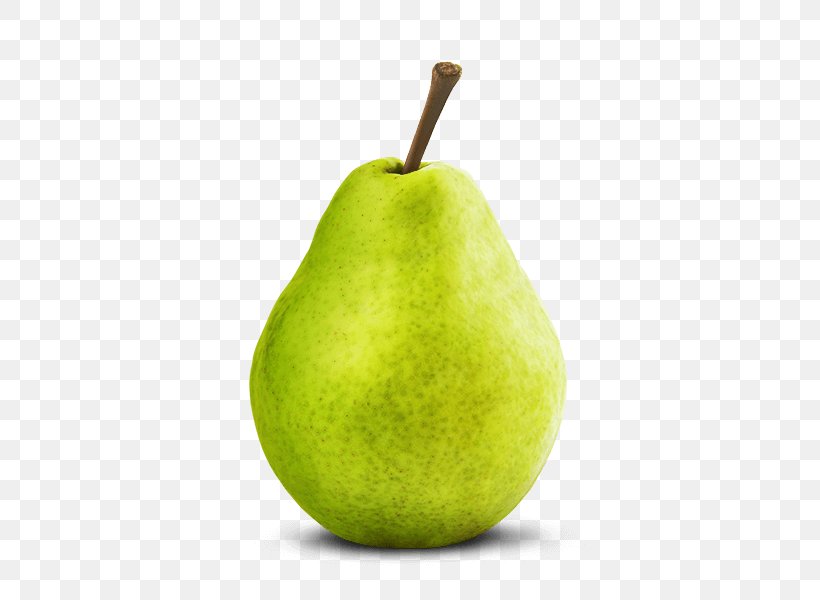 Pear Fruit Forelle Chile, PNG, 600x600px, Pear, Apple, Chile, Food, Forelle Download Free