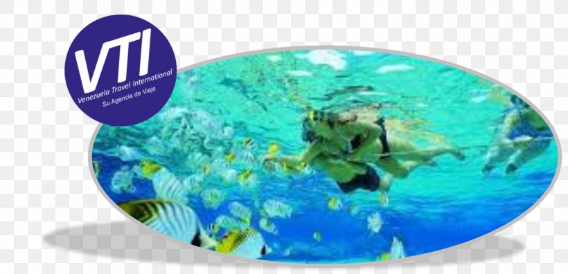 Tulamben Sharm El Sheikh Snorkeling Scuba Diving USAT Liberty, PNG, 1453x703px, Tulamben, Aqua, Beach, Diving Snorkeling Masks, Hotel Download Free