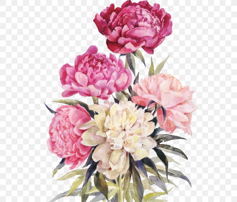 Peony Flower Bouquet Illustration, PNG, 579x700px, Peony, Artificial Flower, Carnation, Cut Flowers, Drawing Download Free