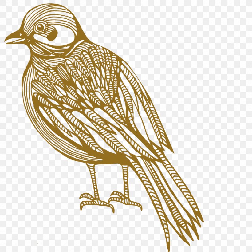 Bird Cartoon Photography Illustration, PNG, 900x900px, Bird, Animation, Beak, Bird Of Prey, Cartoon Download Free