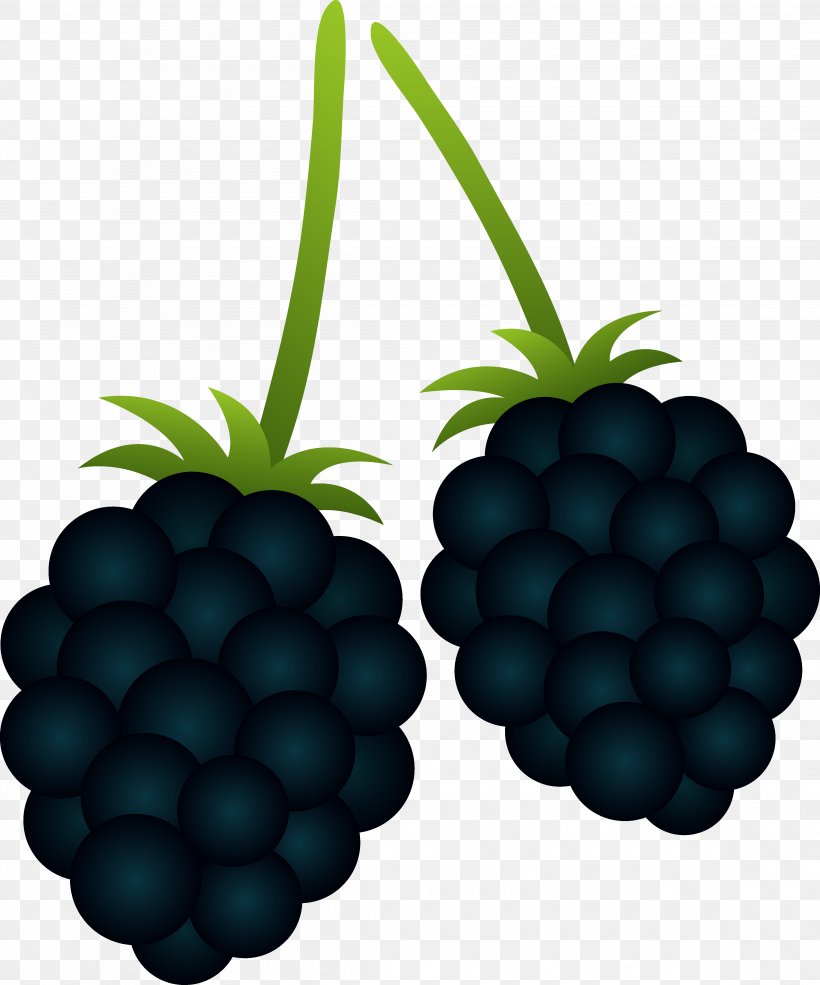 BlackBerry Priv BlackBerry Passport Clip Art, PNG, 4590x5515px, Blackberry Priv, Berry, Bilberry, Blackberry, Blackberry Passport Download Free
