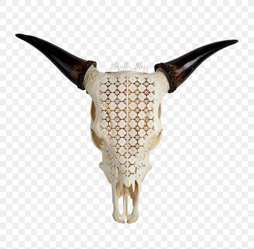 Cattle XL Horns Skull Water Buffalo, PNG, 1000x982px, Cattle, Antique, Bone, Com, Horn Download Free
