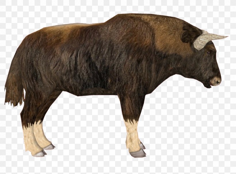 Domestic Yak Zoo Tycoon 2 Cattle Muskox, PNG, 835x617px, Domestic Yak, Animal, Bison, Bull, Cattle Download Free