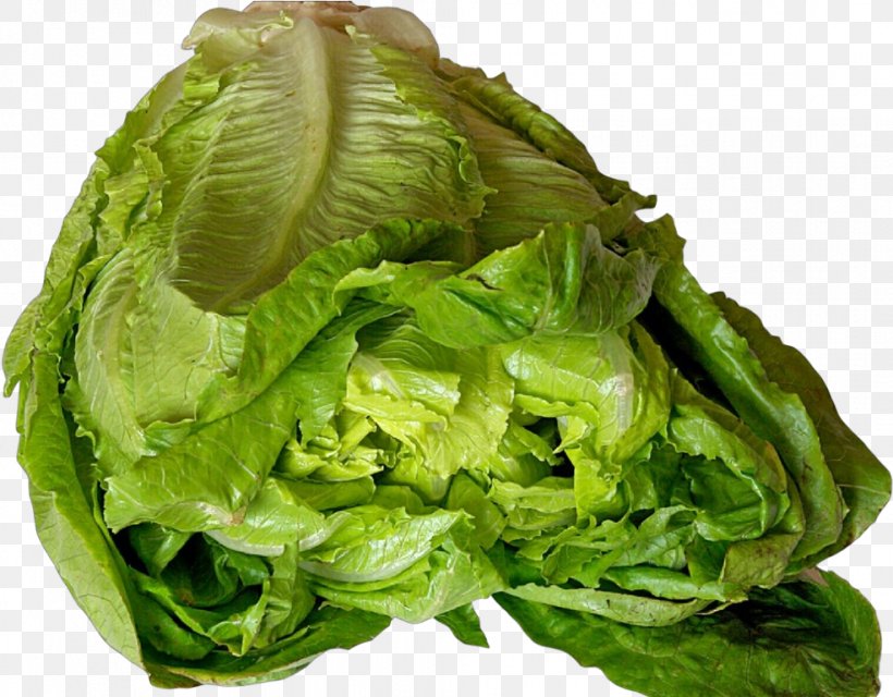 Leaf Vegetable Vegetable Iceburg Lettuce Romaine Lettuce Lettuce, PNG, 985x769px, Leaf Vegetable, Cabbage, Food, Iceburg Lettuce, Leaf Download Free
