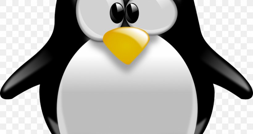 Penguin T-shirt Graphic Design Clip Art, PNG, 850x450px, Penguin, Beak, Bird, Drawing, Flightless Bird Download Free