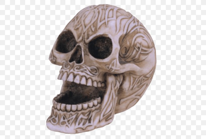 Skull Skeleton Figurine, PNG, 555x555px, Skull, Bone, Figurine, Jaw, Skeleton Download Free