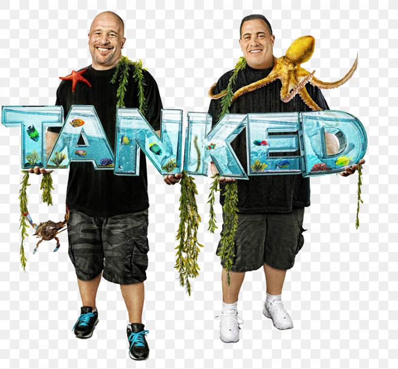 Television Show Episode Tanked, PNG, 902x838px, Television Show, Acrylic Tank Manufacturing, Episode, Human Behavior, Reality Television Download Free