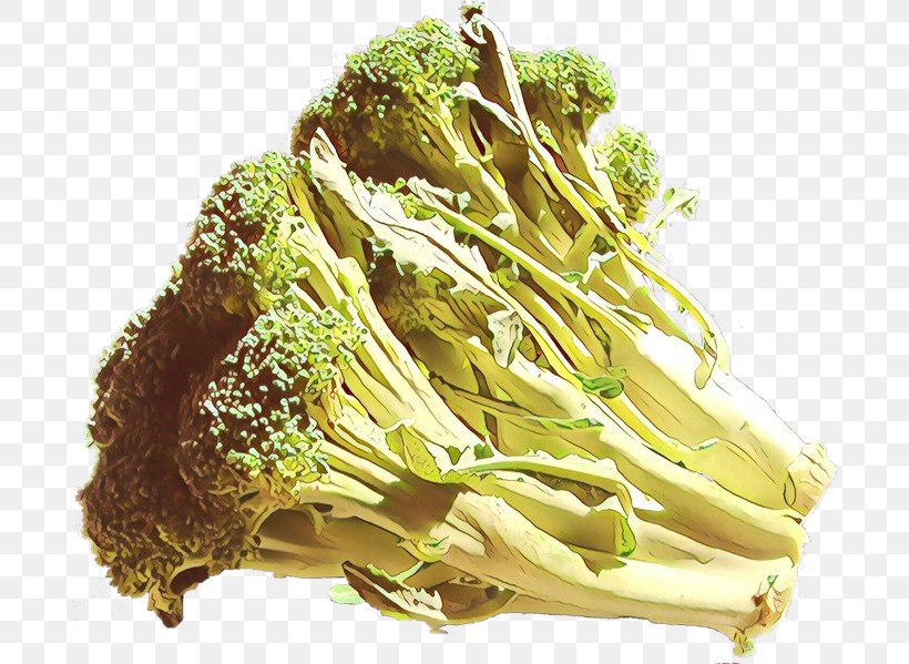 Vegetable Food Leaf Vegetable Cruciferous Vegetables Plant, PNG, 691x599px, Cartoon, Broccoli, Cabbage, Cruciferous Vegetables, Cuisine Download Free