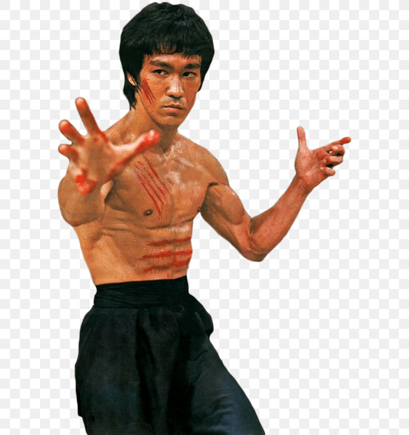 Bruce Lee: Return Of The Legend Bruce Lee, PNG, 593x873px, Bruce Lee, Abdomen, Actor, Aggression, Arm Download Free