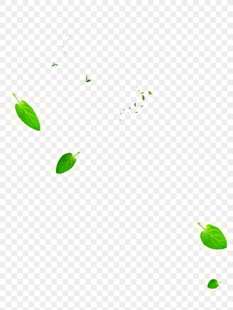 Leaf Green Euclidean Vector, PNG, 1666x2214px, Leaf, Area, Drawing, Google Images, Grass Download Free