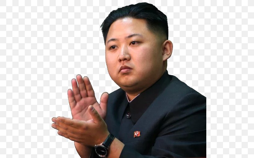 North Korea Assassination Of Kim Jong-nam South Korea Dictator Korean People's Army, PNG, 512x512px, Watercolor, Cartoon, Flower, Frame, Heart Download Free
