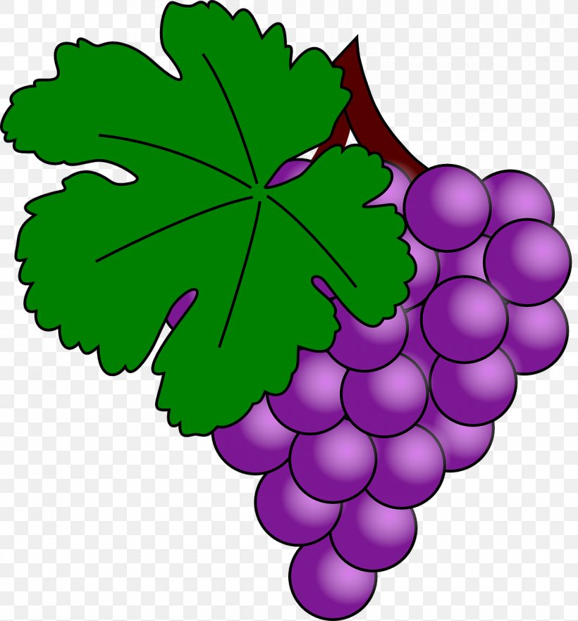 Common Grape Vine Wine Clip Art, PNG, 1189x1280px, Common Grape Vine, Blog, Flower, Flowering Plant, Food Download Free
