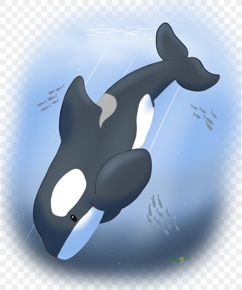 Dolphin Killer Whale Marine Biology Technology, PNG, 816x979px, Dolphin, Biology, Cartoon, Computer, Fish Download Free