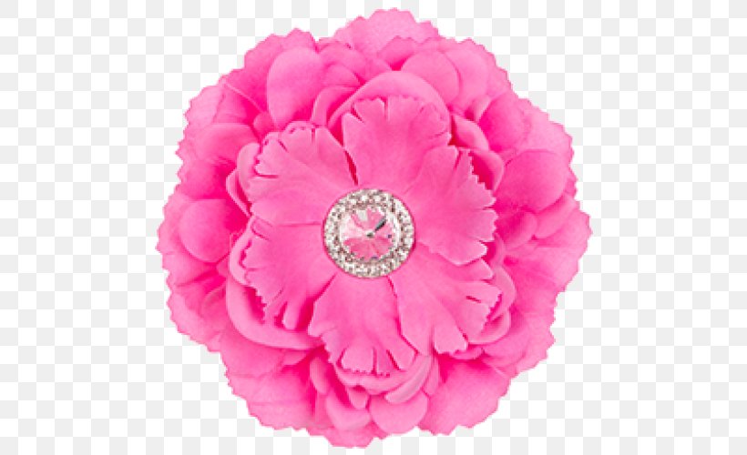 Garden Roses Locker Cut Flowers Pink, PNG, 500x500px, Garden Roses, Blue, Cabbage Rose, Carnation, Color Download Free
