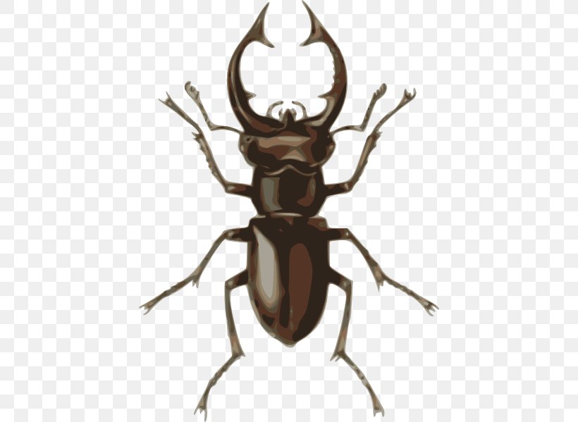 Stag Beetle Drawing Clip Art, PNG, 426x599px, Beetle, Antler, Arthropod, Drawing, Free Content Download Free