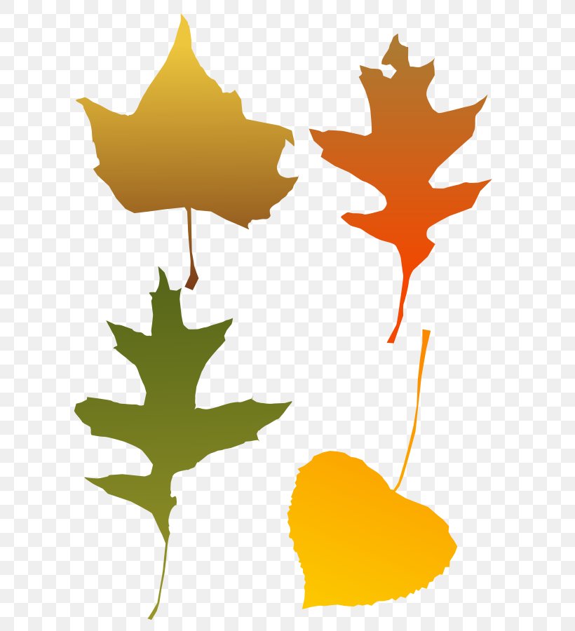 Autumn Leaf Color Clip Art, PNG, 636x900px, Autumn Leaf Color, Autumn, Flowering Plant, Green, Leaf Download Free