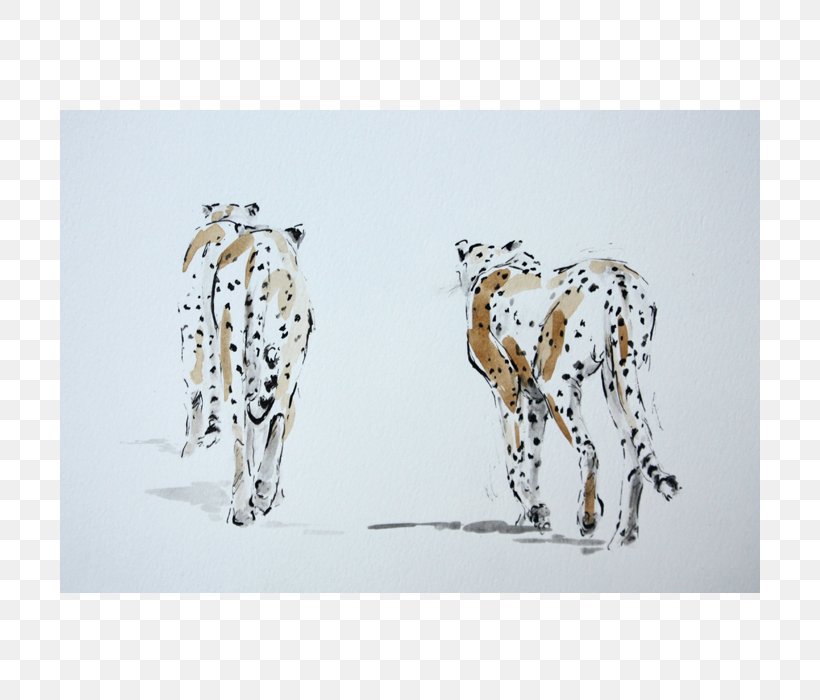 Dalmatian Dog Giraffe Art Drawing Wildlife, PNG, 700x700px, Dalmatian Dog, Art, Carnivoran, Dalmatian, Dog Like Mammal Download Free