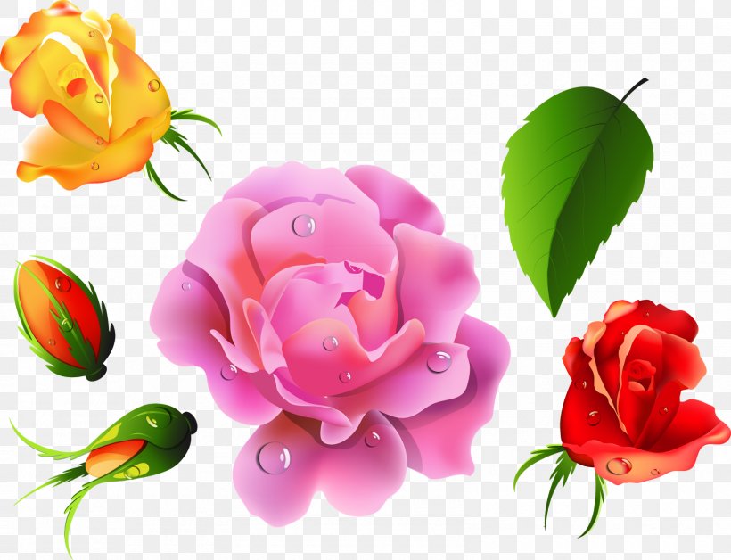 Flower Rose Desktop Wallpaper Clip Art, PNG, 1600x1226px, Flower, Blog, China Rose, Cut Flowers, Floral Design Download Free