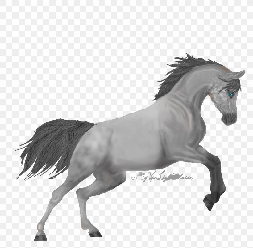 Mane Mustang Stallion Pony Mare, PNG, 900x881px, Mane, Animal Figure, Black And White, Bridle, Halter Download Free