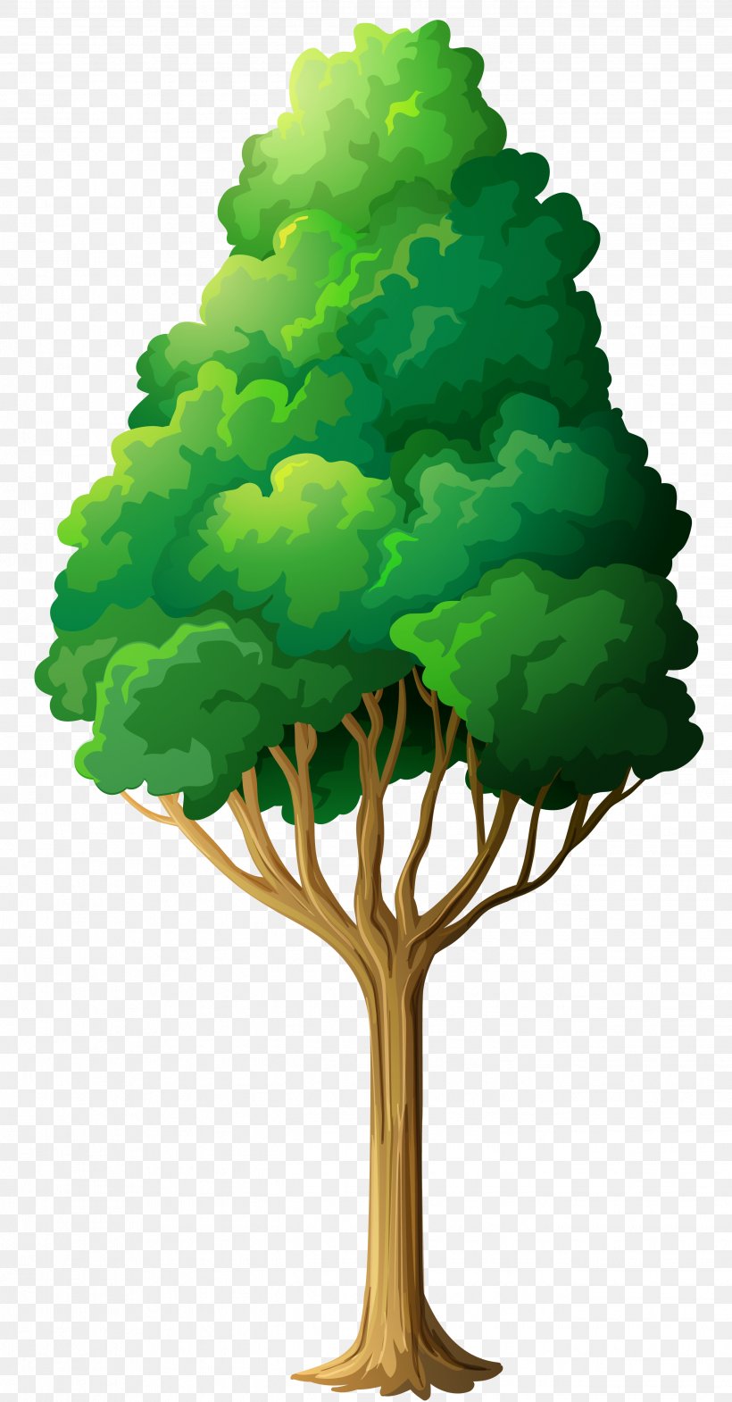 Tree Clip Art, PNG, 2648x5072px, Tree, Blog, Branch, Cartoon, Conifer Download Free