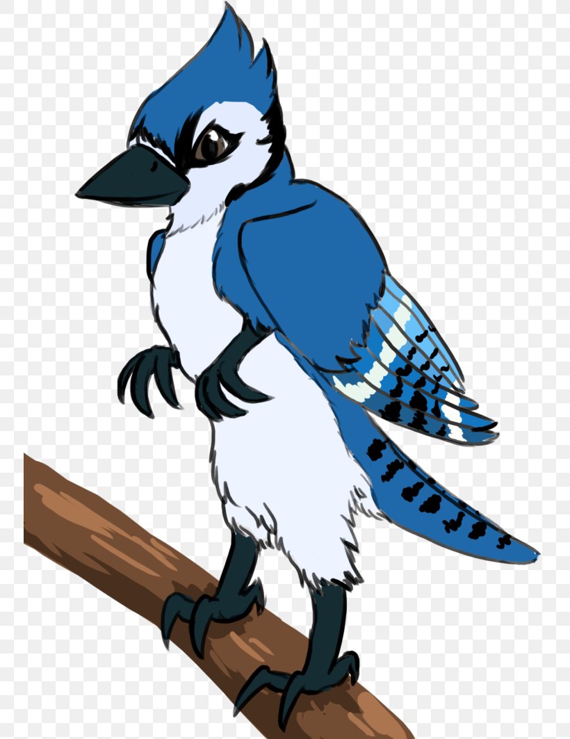 Blue Jay Art Feather Character Clip Art Png 752x1063px Blue Jay Art Artwork Beak Bird Download