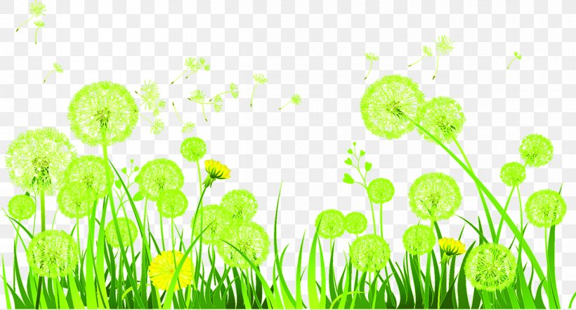Dandelion Euclidean Vector, PNG, 1200x648px, Dandelion, Flora, Flower, Grass, Grass Family Download Free