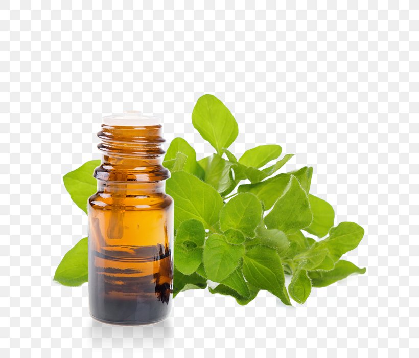 Herb Essential Oil Oregano Aromatherapy, PNG, 700x700px, Herb, Alembic, Aromatherapy, Bottle, Cosmetics Download Free