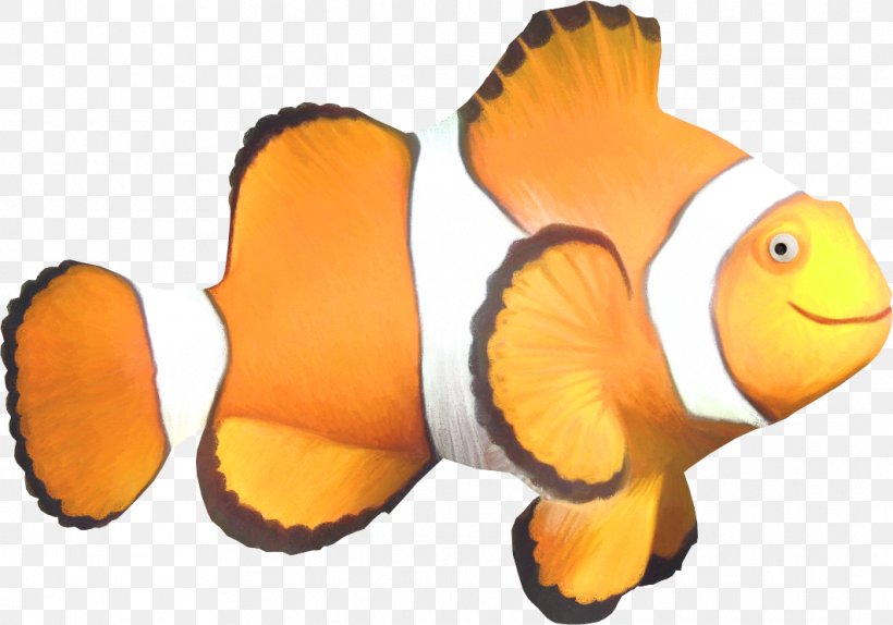 Shark Tropical Fish Clownfish, PNG, 1062x744px, 2016, Shark, Clownfish, Digital Image, Fish Download Free