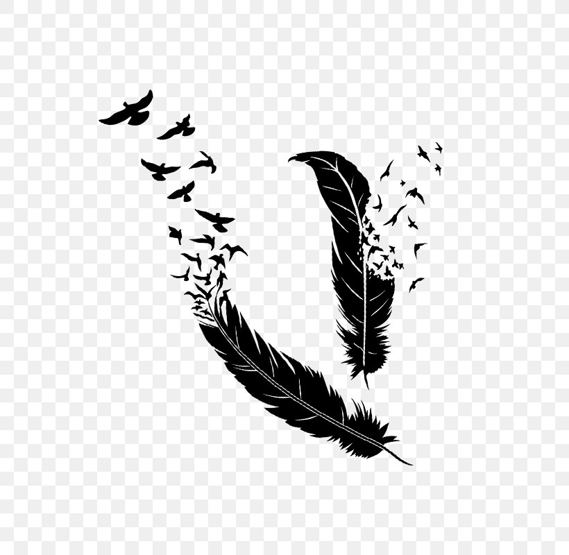 Bird Feather Sticker Paper, PNG, 800x800px, Bird, Beak, Black And White, Decal, Etsy Download Free