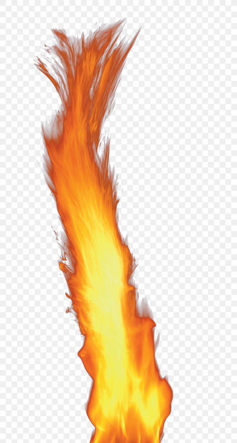 Flame Fire Light Clip Art, PNG, 1560x2917px, Flame, Blog, Editing, Fire, Orange Download Free