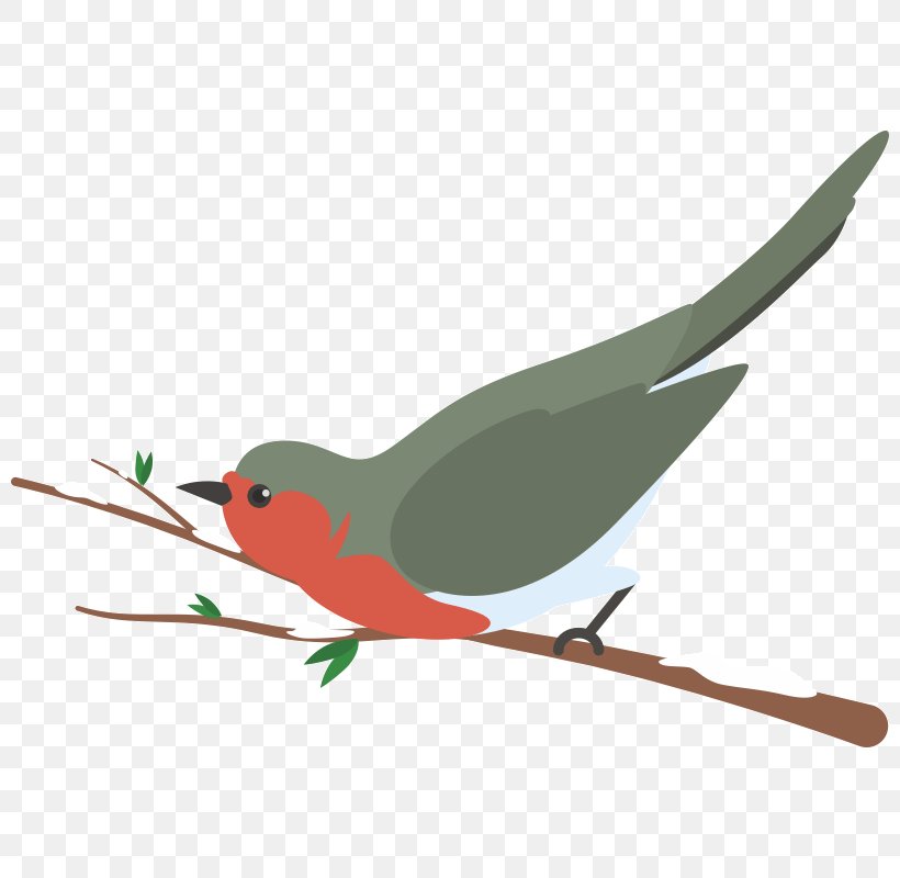 Vector Graphics Bird Image Illustration, PNG, 800x800px, Bird, Beak, Branch, Cartoon, Color Download Free