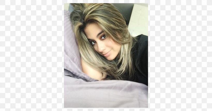 Ally Brooke Fifth Harmony The X Factor (U.S.) Jingle Ball Tour 2016 Miss Universo Uruguay 2014, PNG, 1200x630px, Watercolor, Cartoon, Flower, Frame, Heart Download Free