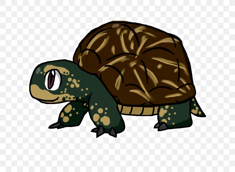 Cecil Turtle Box Turtle Cartoon Illustration, PNG, 800x600px, Cecil Turtle, Amphibian, Box Turtle, Cartoon, Drawing Download Free