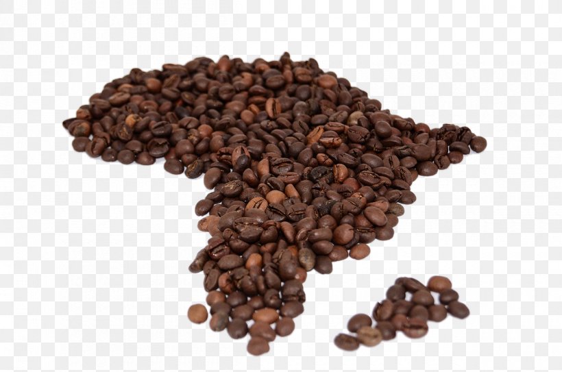 Coffee Roasting Africa Cafe Drink, PNG, 1200x795px, Coffee, Africa, Brewed Coffee, Cafe, Caffeine Download Free