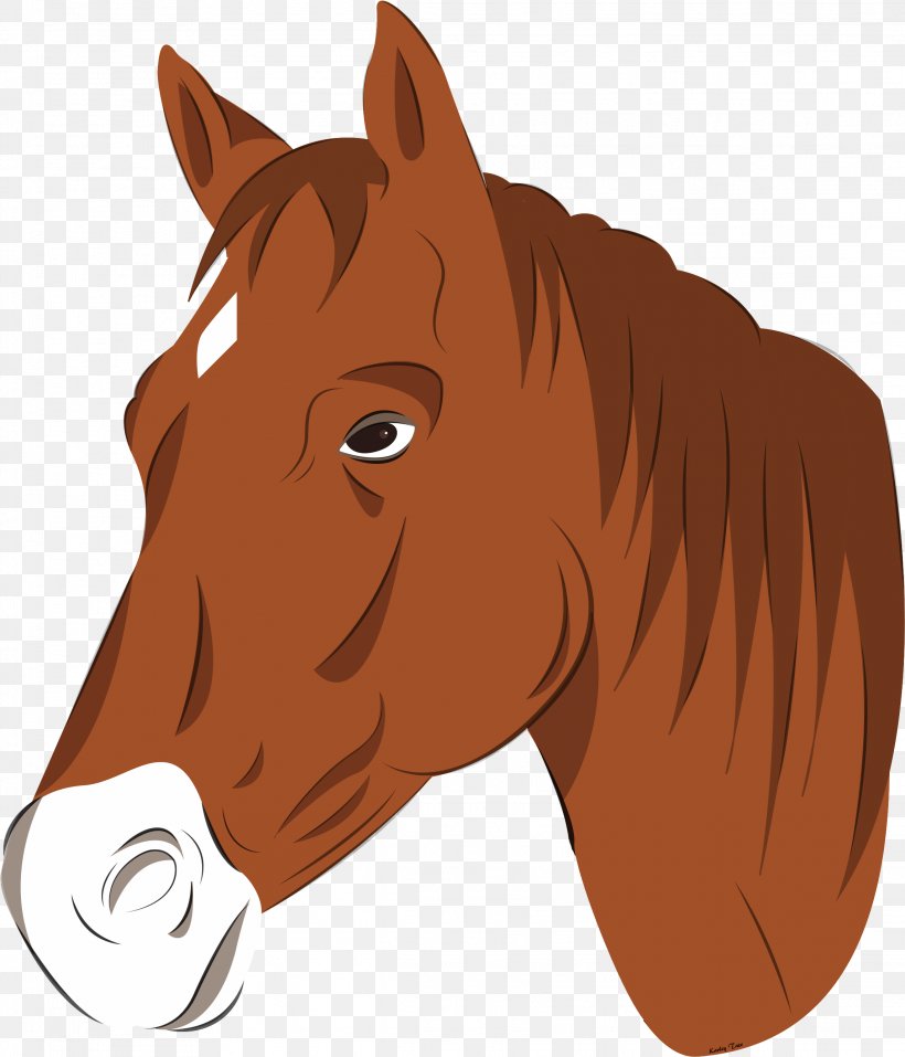 Horse Hair Mane Sorrel Head, PNG, 2288x2673px, Horse, Brown, Cartoon, Hair, Head Download Free