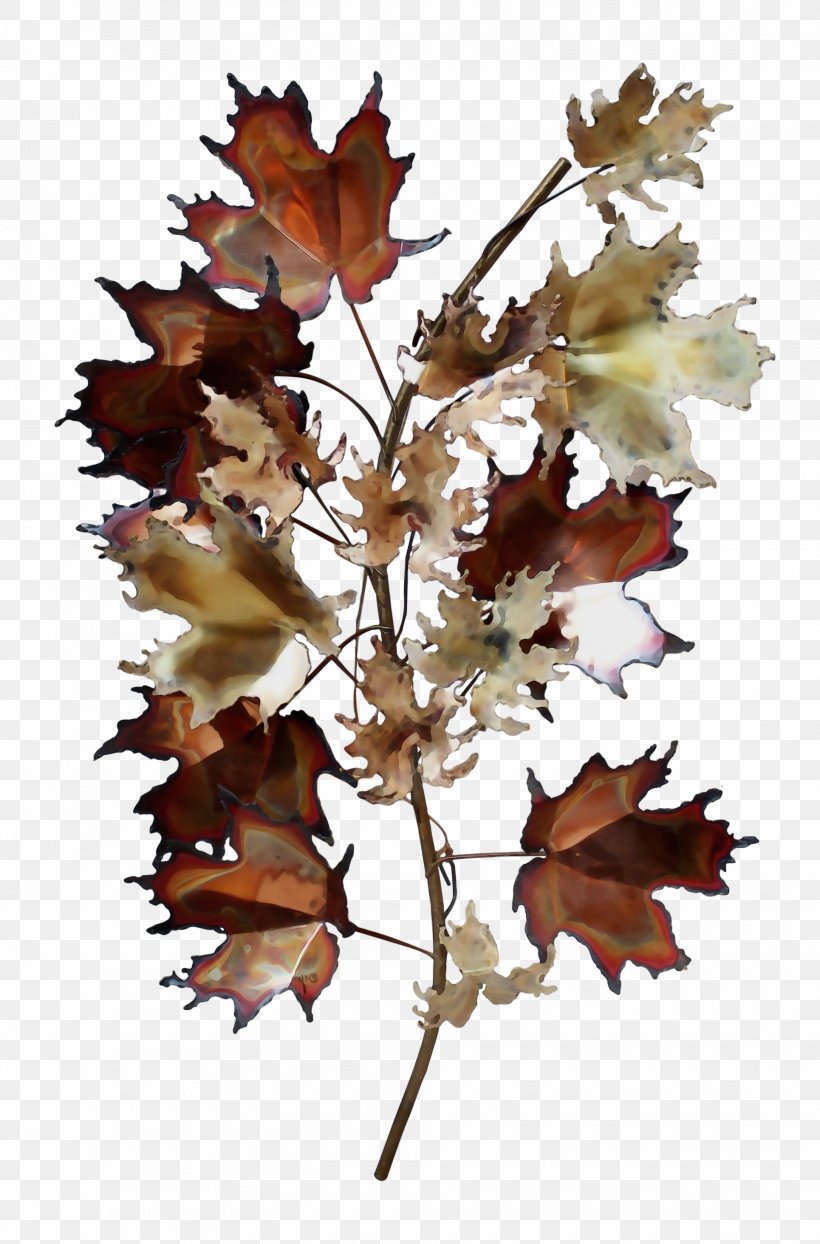 Oak Tree Leaf, PNG, 1930x2930px, Watercolor, Autumn, Black Maple, Black Oak, Branch Download Free
