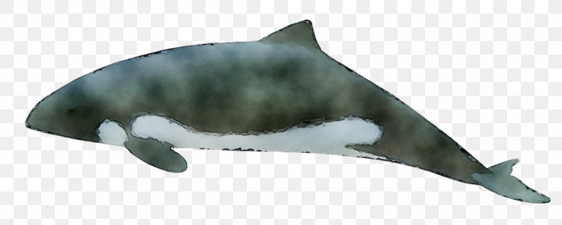 Tucuxi Common Bottlenose Dolphin Porpoise Fauna, PNG, 1156x464px, Tucuxi, Animal, Animal Figure, Bottlenose Dolphin, Bowhead Download Free