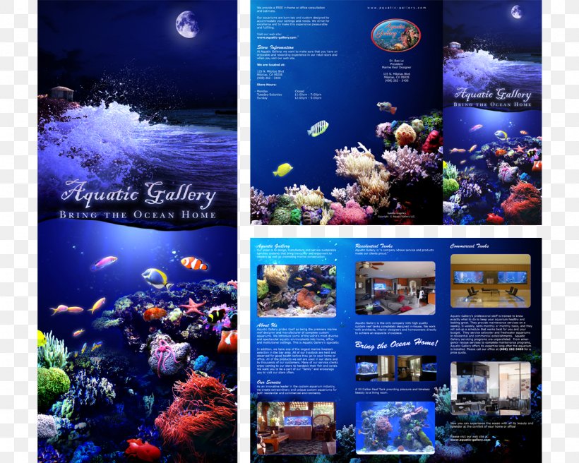 Aquarium Lighting Brochure Advertising, PNG, 1280x1024px, Aquarium, Advertising, Aquarium Lighting, Brochure, Coral Reef Download Free