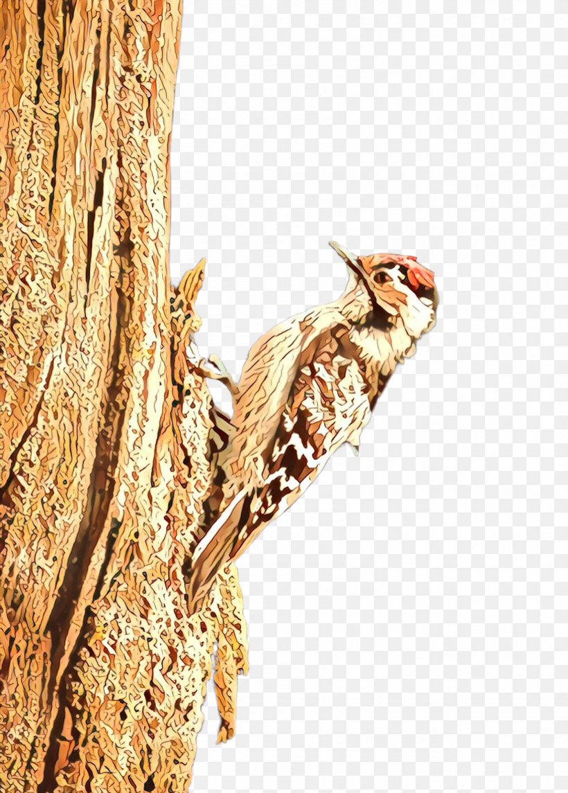 Bird Woodpecker Tree Piciformes American Tree Creeper, PNG, 1692x2363px, Cartoon, American Tree Creeper, Bird, Piciformes, Plant Download Free