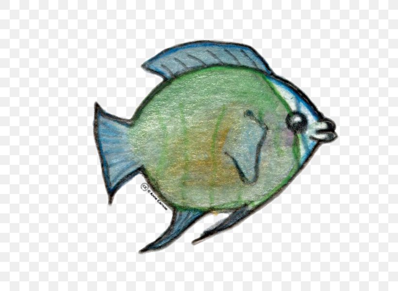 Clip Art Fauna Image .com End-user License Agreement, PNG, 600x600px, Fauna, Bluegill, Butterflyfish, Com, Enduser License Agreement Download Free