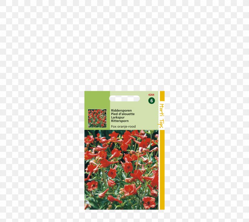 Cut Flowers Perennial Plant Columbine Larkspur, PNG, 1466x1308px, Cut Flowers, Columbine, Flora, Flower, Flower Bouquet Download Free