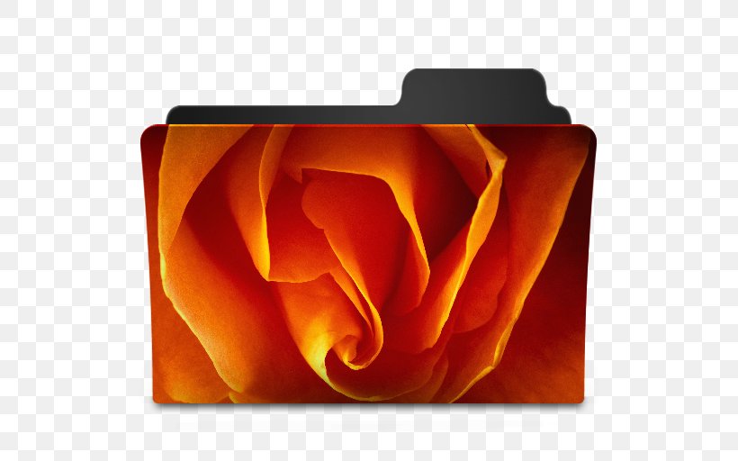 Desktop Wallpaper Rose Color, PNG, 512x512px, Rose, Color, Desktop Computers, Directory, Flower Download Free